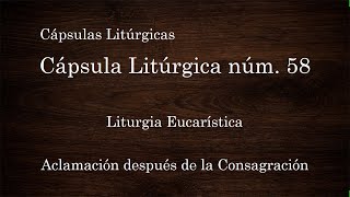 Capsula Litúrgica 58 quotAclamación después de La Consagraciónquot [upl. by Connett]