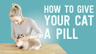 How Pill Your Cat [upl. by Moclam657]