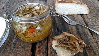 EGGPLANT PRESERVED IN OLIVE OIL Italian recipe  Italian Appetizers Bruschetta [upl. by Celeski659]