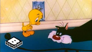 Looney Tunes Classic  Poor Puddytat  Boomerang Official [upl. by Kappel270]