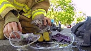 GoPro Fireman Saves Kitten [upl. by Milicent155]