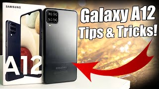 Samsung Galaxy A12 Camera Tips amp Tricks [upl. by Sucitivel794]