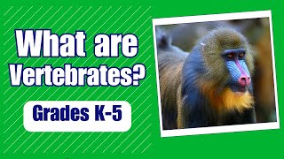 What is a Vertebrate  More Grades 25 Science [upl. by June316]