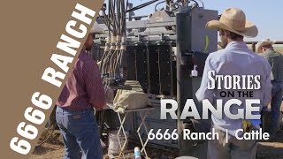 6666 Ranch Cattle Program [upl. by Surtimed]