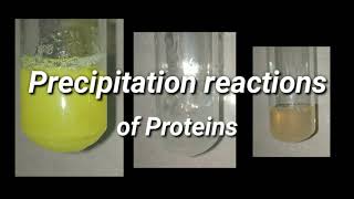 Precipitation Reactions of Proteins  Biochemistry [upl. by Wilkinson]