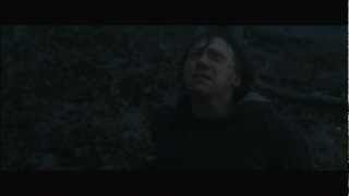 Ron Destroys the Locket  Harry Potter and the Deathly Hallows Part 1 HD [upl. by Ellehcit]