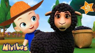 Baa Baa Black Sheep  More Nursery Rhymes amp Kids Songs  Minibus [upl. by Yurik]