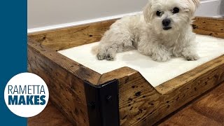 How to Build a Custom Dog Bed  DIY [upl. by Dyane198]