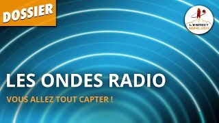 LES ONDES RADIO  Dossier 34  LEsprit Sorcier [upl. by Eihs402]