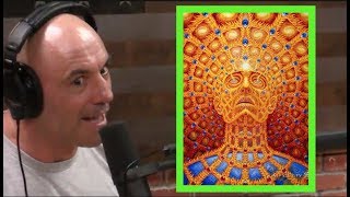 Joe Rogans DMT Experiences [upl. by Maze635]