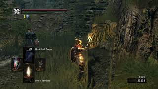 Dark Souls  Infinite Souls Glitch unlimited Souls Still Working 2021 Guide in Description [upl. by Suaeddaht]