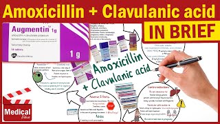 Amoxicillin and Clavulanic Acid  Augmentin  Augmentin Uses Dosage Side Effects amp Precautions [upl. by Nnaillek]