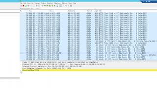 How to Troubleshoot NetFlow Using Wireshark [upl. by Shaine638]