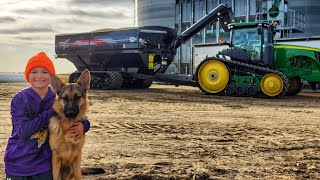 Our First Day of Harvest 2019 [upl. by Ahseekan]