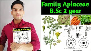 Family Apiaceae Vegetative characters Floral formula daigram and Economic importance [upl. by Anazraf413]