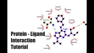 ProteinLigand Interaction Tutorial [upl. by Wilser764]