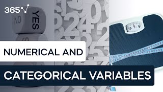 Types of Data Categorical vs Numerical Data [upl. by Rumit]