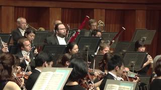 Schubert  Symphony No 7No 8 quotUnfinishedquot  1st Movement [upl. by Evars]