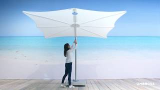 SPECTRA Umbrella by Umbrosa [upl. by Katy]