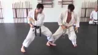 front leg sweep  karate [upl. by Rekrap]