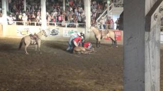 Horse breaks neck in rodeo [upl. by Ruon977]