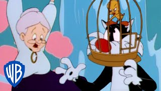 Looney Tunes  Sylvester Saves Granny  WB Kids [upl. by Ehtnax]