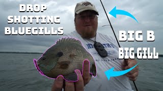 How to Drop Shot for Bluegills [upl. by Cagle]