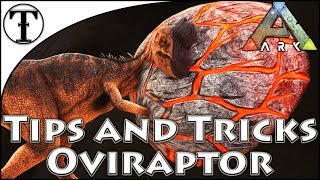 Fast Oviraptor Taming Guide  Ark  Survival Evolved Tips and Tricks [upl. by Tuckie905]