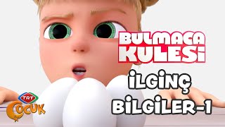 İlginç Bilgiler  1  Bulmaca Kulesi [upl. by Ennaecarg]