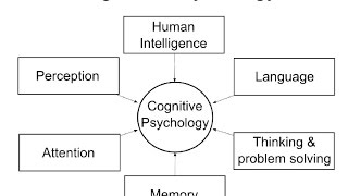 Cognitive Psychology Introduction [upl. by Storz]