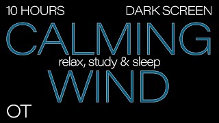 CALMING WIND Sounds for Sleeping Relaxing Studying BLACK SCREEN Real Storm Sounds SLEEP SOUNDS [upl. by Dulci]