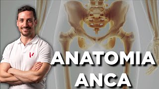 Anatomia dellanca [upl. by Bergwall]