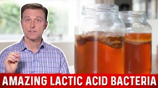 Lactic Acid Bacteria and Fermented Foods Benefits – DrBerg [upl. by Aihseket]