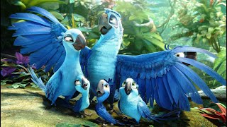 Rio 2 2014 Film Explained in Hindi  Urdu  Rio Blu Full Summarized हिन्दी [upl. by Dwaine]