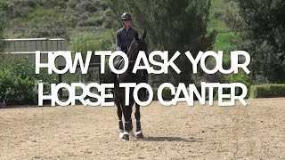 How to ask your horse to canter [upl. by Ellett]