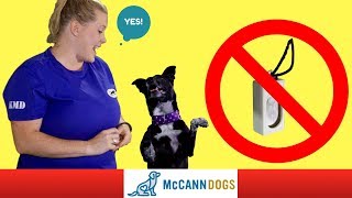 Clicker Training Without A Clicker  Professional Dog Training Tips [upl. by Ettelorahc]