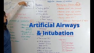 Artificial Airways amp Intubation [upl. by Osei190]