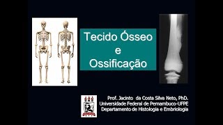 6Tecido Ósseo e Ossificação  Nível de Graduação [upl. by Didi]