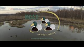 The MOAD® Motion Decoy [upl. by Feldstein]