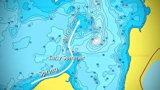 Walleye Movement Explained Map Example [upl. by Ysdnyl]