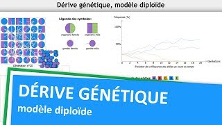 Tuto  Logiciel Dérive Génétique modèle diploïde [upl. by Eidur]