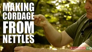 Making Cordage from Nettles [upl. by Eirrotal]