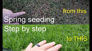 How to GROW GRASS in the SPRING successfully step by step [upl. by Melisse721]