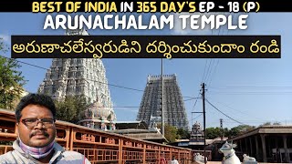 Arunachalam temple full tour in telugu  Tiruvannamalai  Arunachalam temple information  Tamilnadu [upl. by Nnayd168]