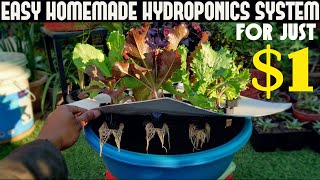 Cheapest Hydroponic System For Everyone  Under 1100 Rs [upl. by Fihsak]