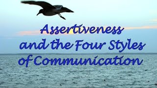 Assertiveness and the Four Communication Styles [upl. by Shawnee365]