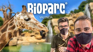 BIOPARC VALENCIA  Zooinmersión [upl. by Saidel]