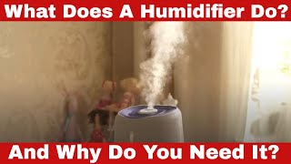 What Does a Humidifier Do Why Do You Need It [upl. by Arahas]