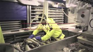 Sustainable Alaska Cod Fishing  The Story of a Commercial Longliner [upl. by Maitilde]