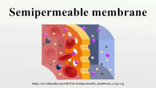 Semipermeable membrane [upl. by Nycila]